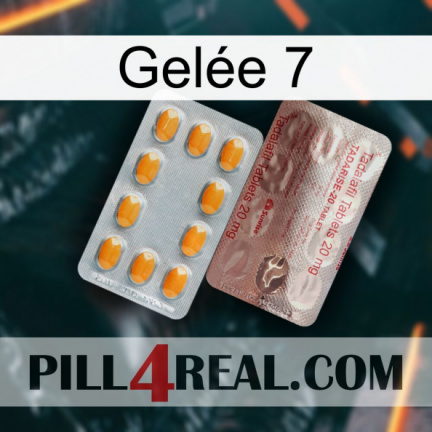 Gelée 7 new13